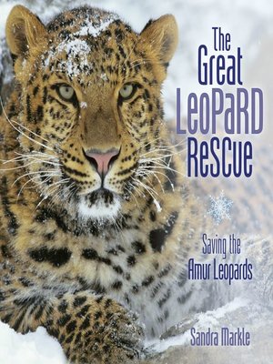 cover image of The Great Leopard Rescue